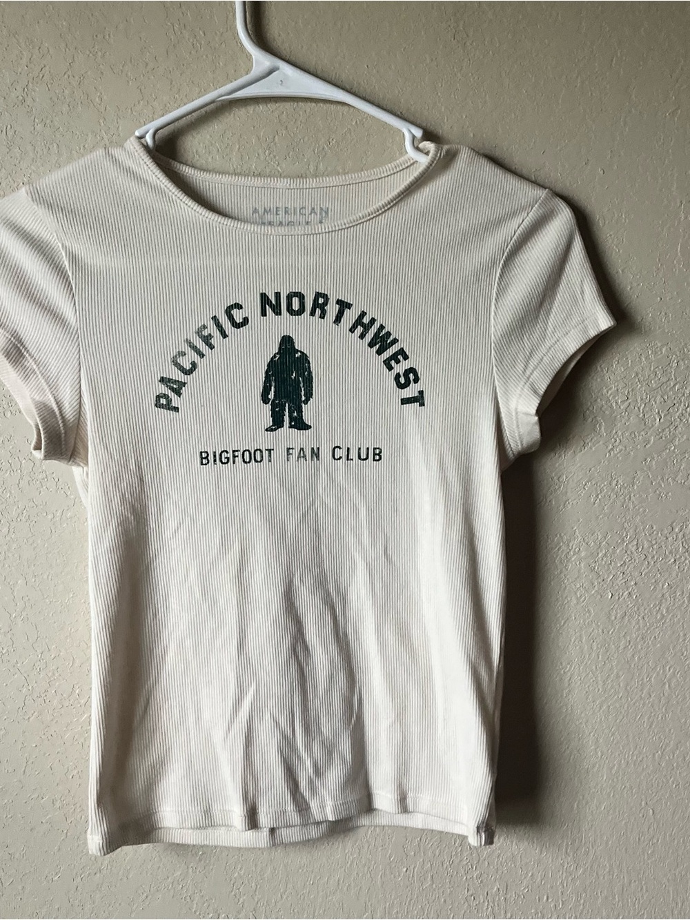 AE Pacific Northwest Ribbed Tee - Picture 2 of 5